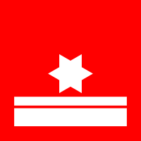 Brandmeister
