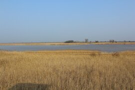 IMG_0084.jpg
