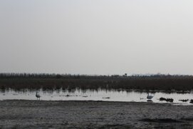IMG_0099_90mv3xul.jpg